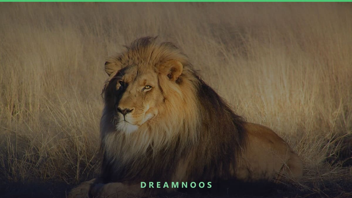 Symbolic illustration for Killing a Lion Dream Meaning & Interpretation