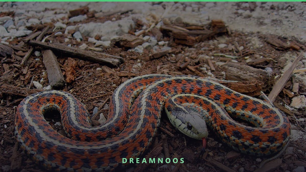 Symbolic illustration for Being Chased by a Snake Dream Meaning & Interpretation