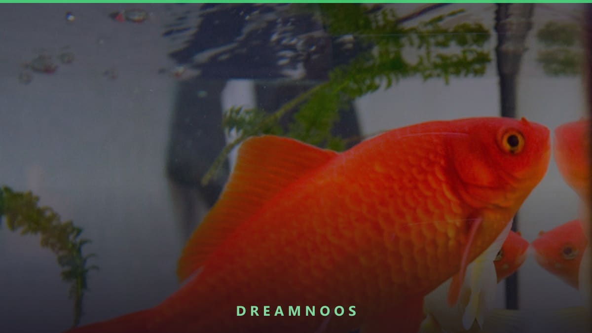 Symbolic illustration for Eating Fish Dream Meaning & Interpretation