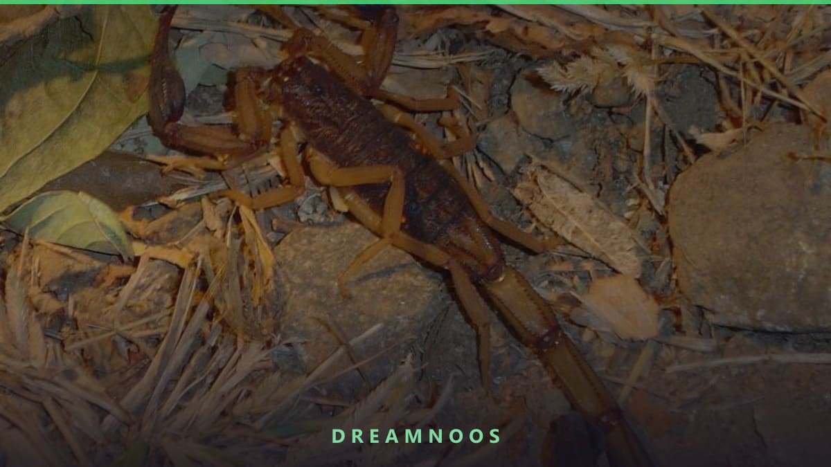 Symbolic illustration for Killing a Scorpion Dream Meaning & Interpretation