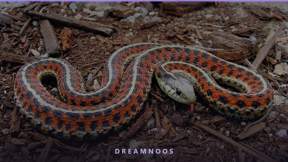Illustration for Dreams About Snakes