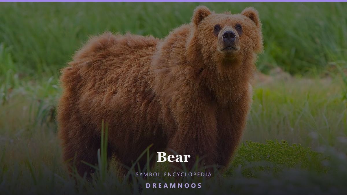 Symbolic illustration for Bear