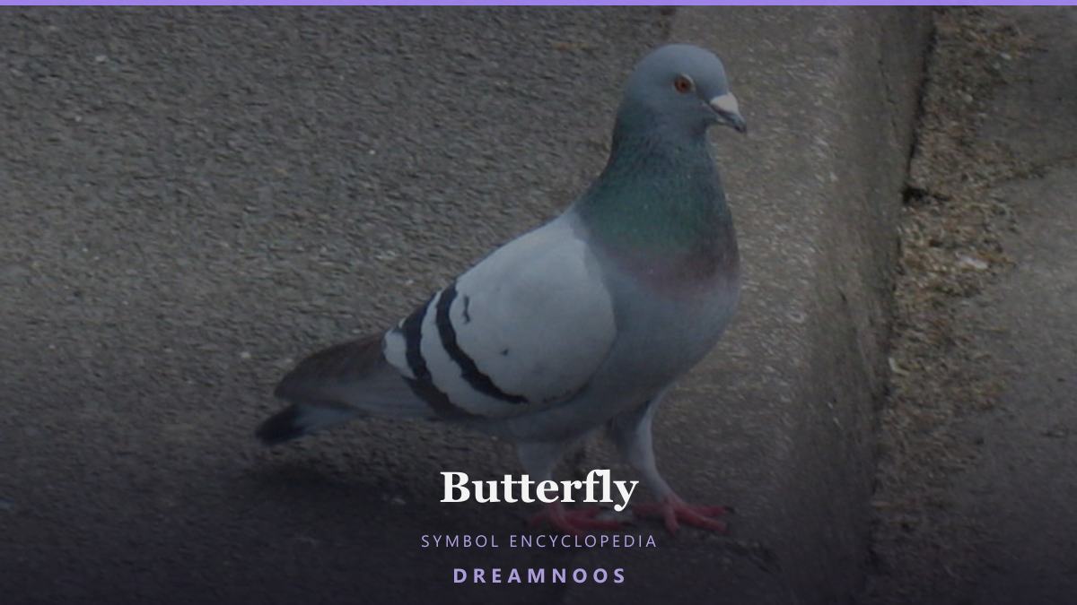 Symbolic illustration for Butterfly