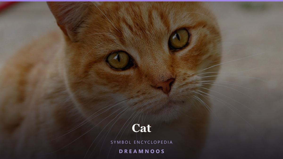 Symbolic illustration for Cat