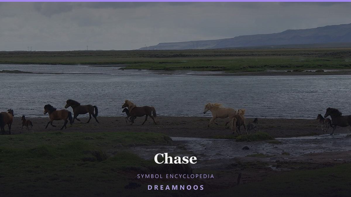 Symbolic illustration for Chase