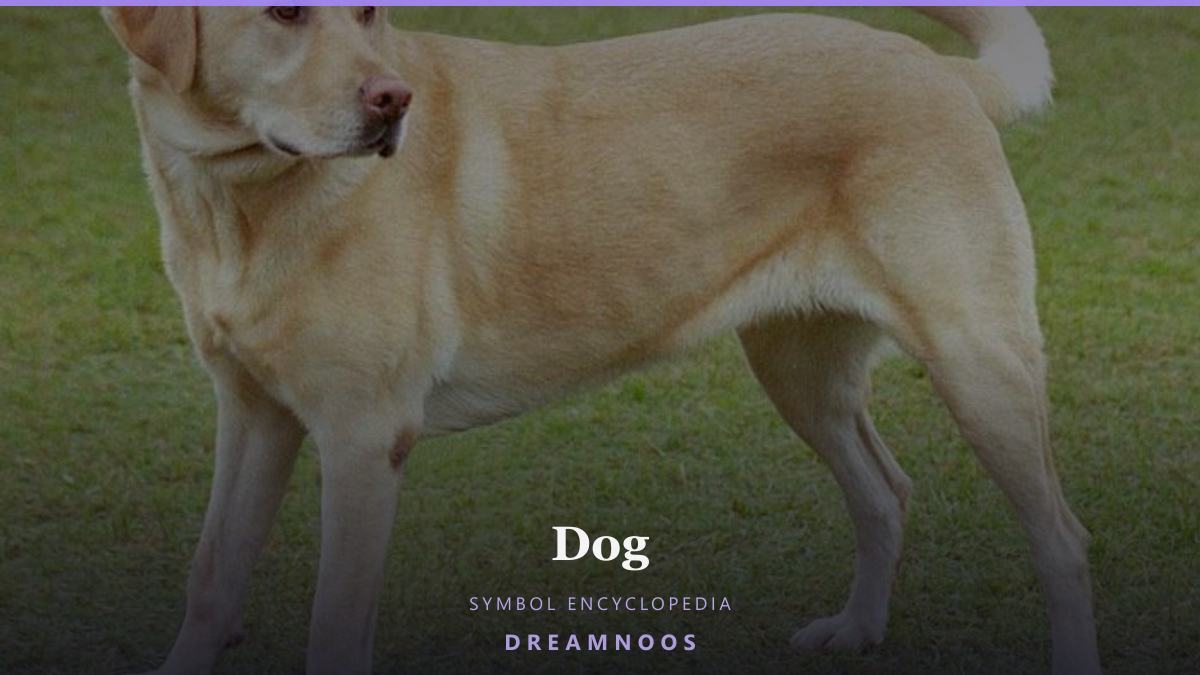 Symbolic illustration for Dog